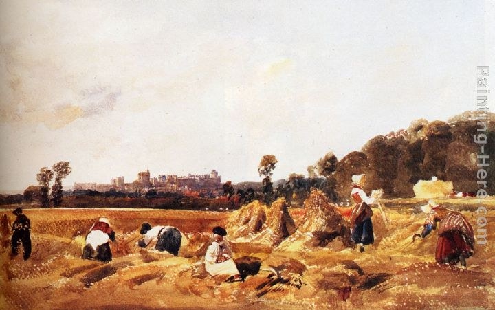 Peter de Wint Cornfield, Windsor